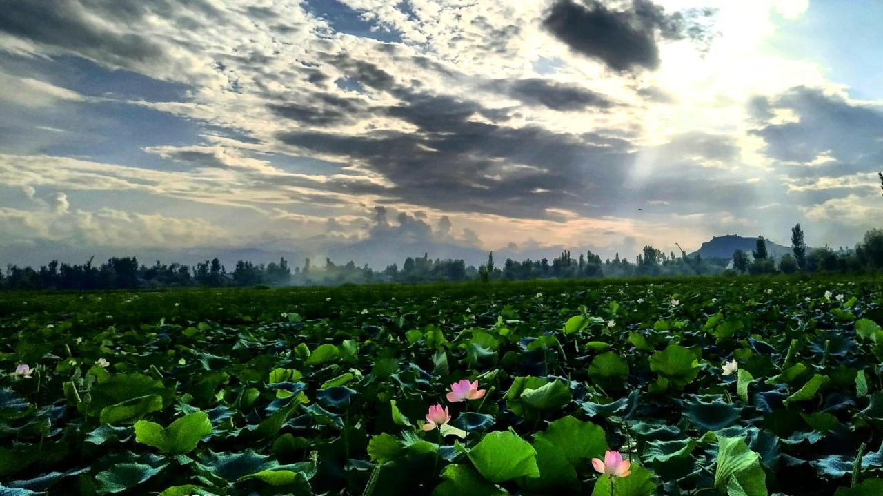 فندق Green View Group Of Houseboats Srīnagar المظهر الخارجي الصورة